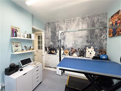 Picture 14